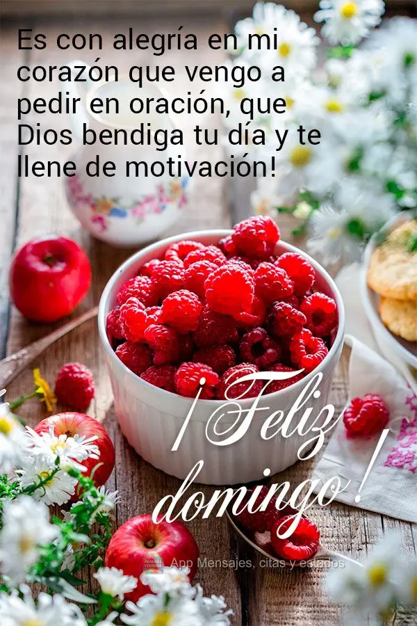 Es con alegría en mi corazón que vengo a pedir en oración, que Dios bendiga tu día y te llene de motivación! ¡Feliz domingo!