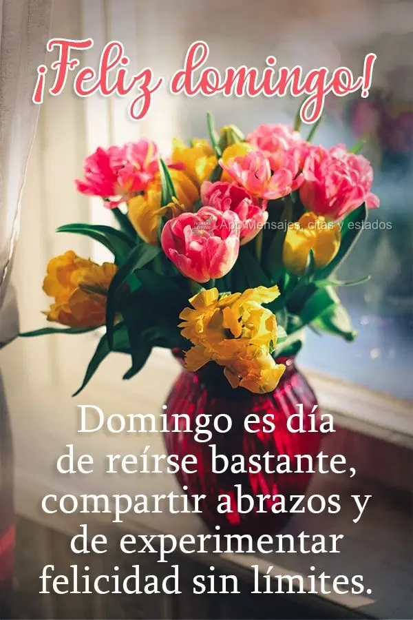 Domingo es día de reírse bastante, compartir abrazos y de experimentar felicidad sin límites. ¡Feliz domingo!