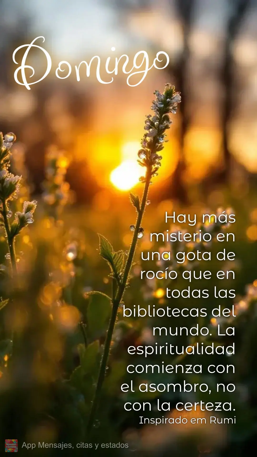 Hay más misterio en una gota de rocío que en todas las bibliotecas del mundo. La espiritualidad comienza con el asombro, no con la certeza. Domingo Ins...