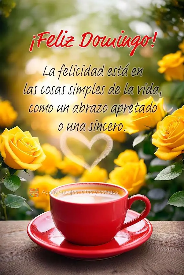 La felicidad está en las cosas simples de la vida, como un abrazo apretado o una sincero.  ¡Feliz Domingo!
