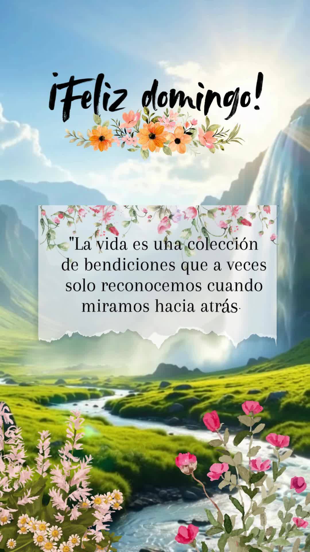 "La vida es una colección de bendiciones que a veces solo reconocemos cuando miramos hacia atrás." ¡Feliz domingo!