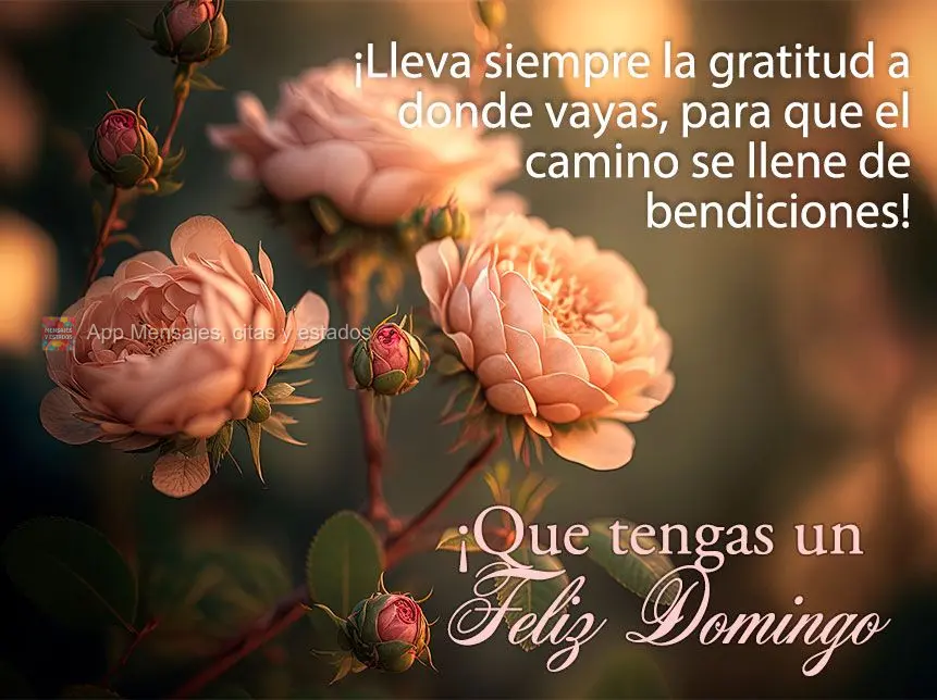 ¡Lleva siempre la gratitud a donde vayas, para que el camino se llene de bendiciones! ¡Que tengas un feliz domingo!