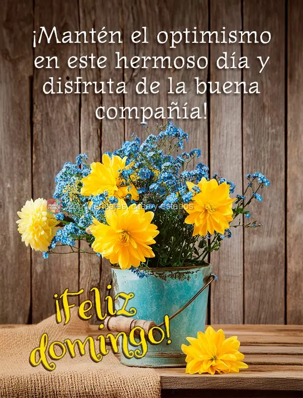 ¡Mantén el optimismo en este hermoso día y disfruta de la buena compañía! ¡Feliz domingo!