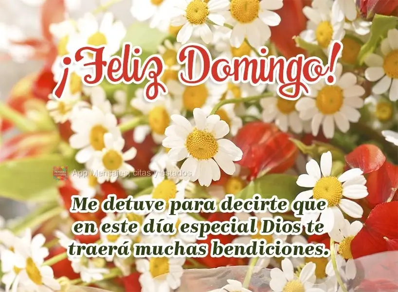Me detuve para decirte que en este día especial Dios te traerá muchas bendiciones. ¡Feliz Domingo!