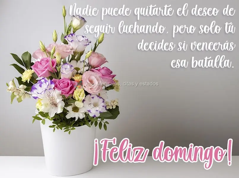 Nadie puede quitarte el deseo de seguir luchando, pero solo tú decides si vencerás esa batalla. ¡Feliz domingo!