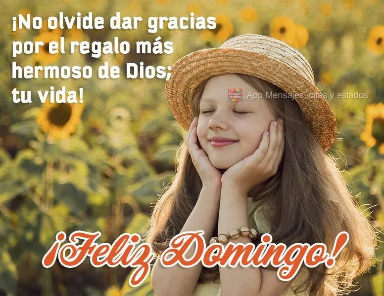 ¡No olvide dar gracias por el regalo más hermoso de Dios; tu vida! ¡Feliz Domingo!