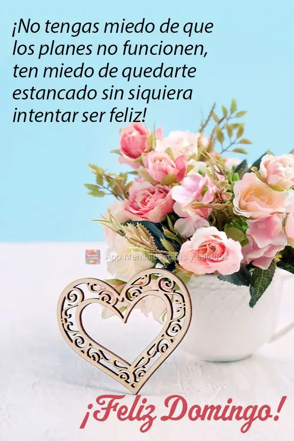 ¡No tengas miedo de que los planes no funcionen, ten miedo de quedarte estancado sin siquiera intentar ser feliz! ¡Feliz Domingo!