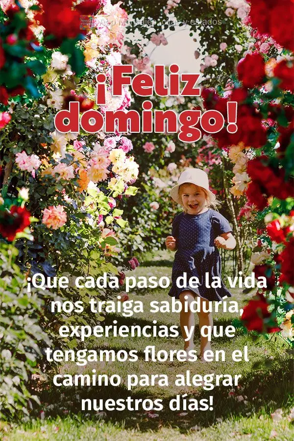 ¡Que cada paso de la vida nos traiga sabiduría, experiencias y que tengamos flores en el camino para alegrar nuestros días! ¡Feliz domingo!
