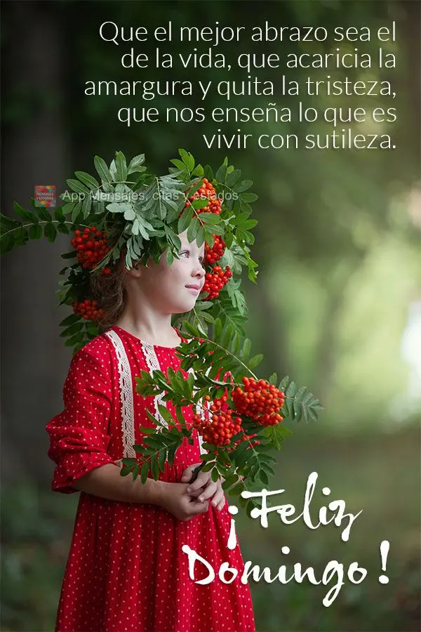 Que el mejor abrazo sea el de la vida, que acaricia la amargura y quita la tristeza, que nos enseña lo que es vivir con sutileza. ¡Feliz Domingo!