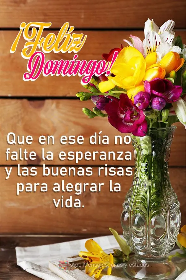 Que en ese día no falte la esperanza y las buenas risas para alegrar la vida. ¡Feliz Domingo!
