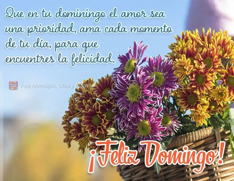 Que en tu dominingo el amor sea una prioridad, ama cada momento de tu día, para que encuentres la felicidad. ¡Feliz Domingo!