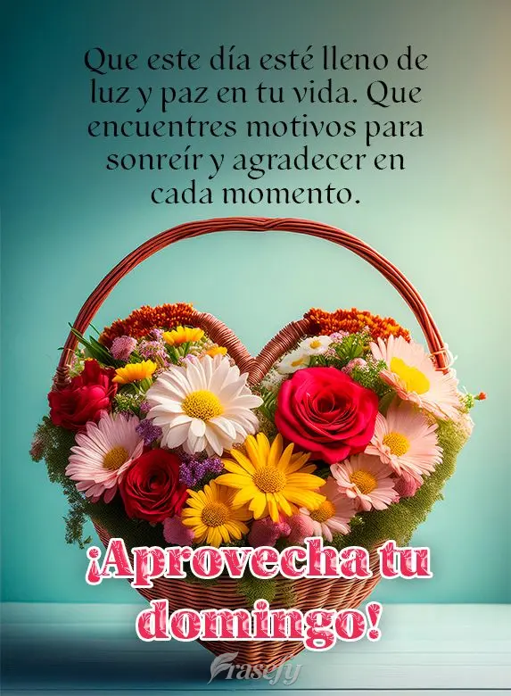 Que este dia seja de muita luz e paz em sua vida. Que você encontre motivos para sorrir e agradecer a cada momento. Aproveite seu Domingo!