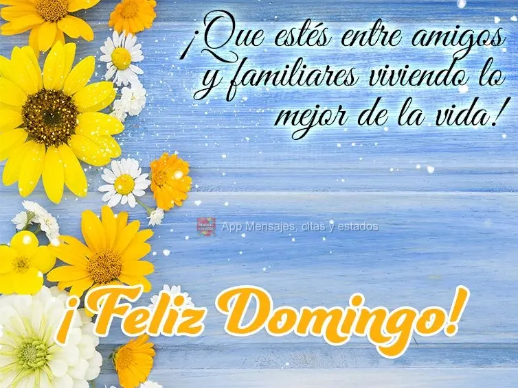 ¡Que estés entre amigos y familiares viviendo lo mejor de la vida! ¡Feliz Domingo!