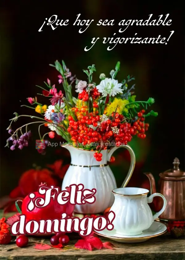¡Que hoy sea agradable y vigorizante! ¡Feliz domingo!
