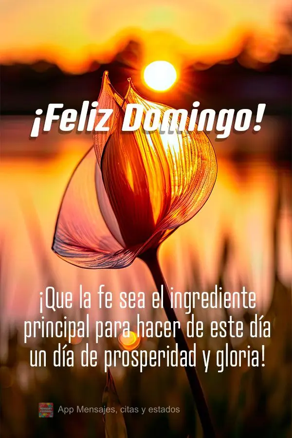 ¡Que la fe sea el ingrediente principal para hacer de este día un día de prosperidad y gloria! ¡Feliz Domingo!