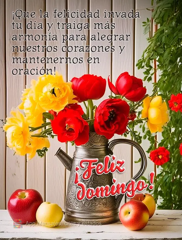 ¡Que la felicidad invada tu día y traiga más armonía para alegrar nuestros corazones y mantenernos en oración! ¡Feliz domingo!