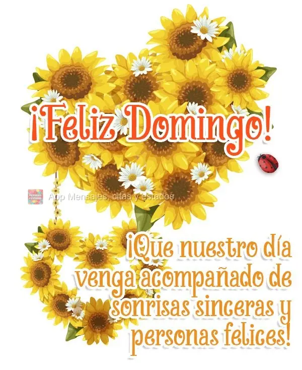¡Que nuestro día venga acompañado de sonrisas sinceras y personas felices! ¡Feliz domingo!