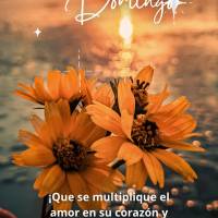 ¡Que se multiplique el amor en su corazón y que la felicidad sea jun sentimiento constante todos los días! ¡Feliz Domingo!