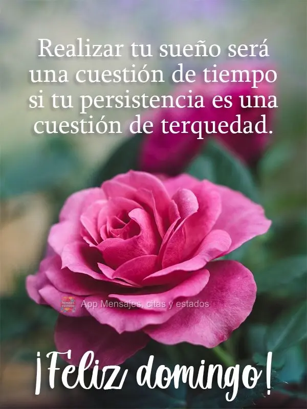 Realizar tu sueño será una cuestión de tiempo si tu persistencia es una cuestión de terquedad. ¡Feliz domingo!