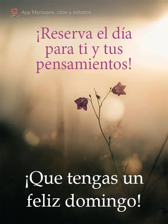 ¡Reserva el día para ti y tus pensamientos! ¡Que tengas un feliz domingo!