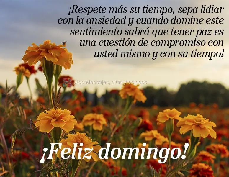 ¡Respete más su tiempo, sepa lidiar con la ansiedad y cuando domine este sentimiento sabrá que tener paz es una cuestión de compromiso con usted mism...