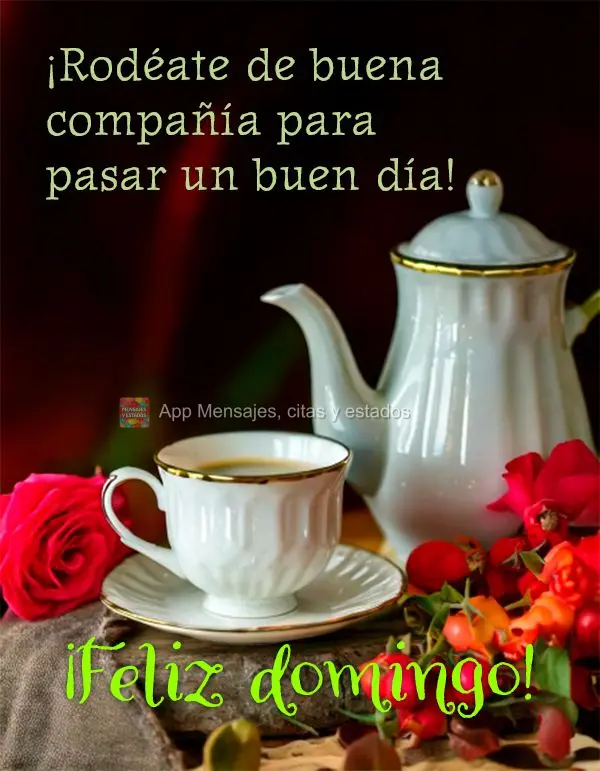 ¡Rodéate de buena compañía para pasar un buen día! ¡Feliz domingo!