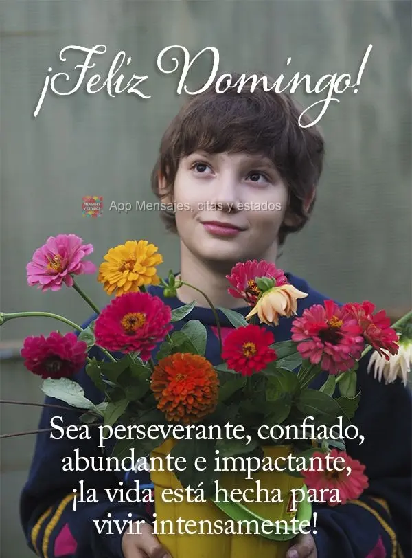Sea perseverante, confiado, abundante e impactante, ¡la vida está hecha para vivir intensamente! ¡Feliz Domingo!