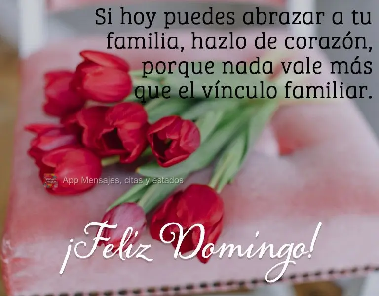 Si hoy puedes abrazar a tu familia, hazlo de corazón, porque nada vale más que el vínculo familiar. ¡Feliz domingo!