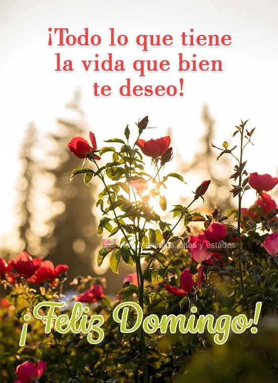 ¡Todo lo que tiene la vida que bien te deseo! ¡Feliz Domingo!