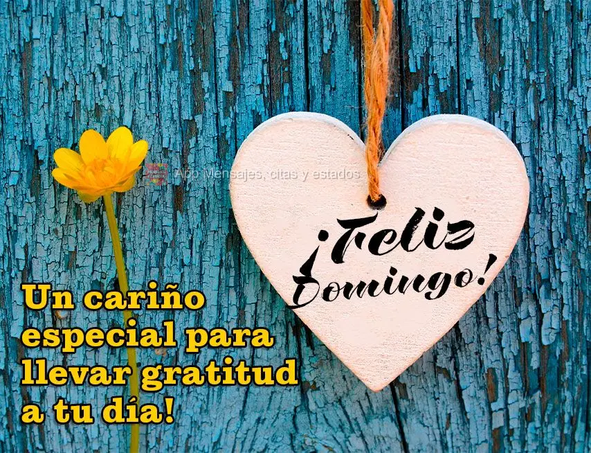 Un cariño especial para llevar gratitud a tu día! ¡Feliz domingo!