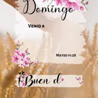 Domingo

Venid a mí todos los que estáis cansados y sobrecargados, y yo
les daré descanso.
Mateo 11.28

¡Buen día! ¡Buen día! Mateo 11:28