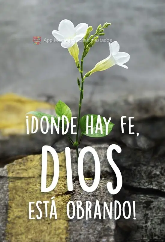 ¡Donde hay fe, Dios está obrando!