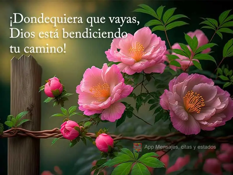 ¡Dondequiera que vayas, Dios está bendiciendo tu camino!