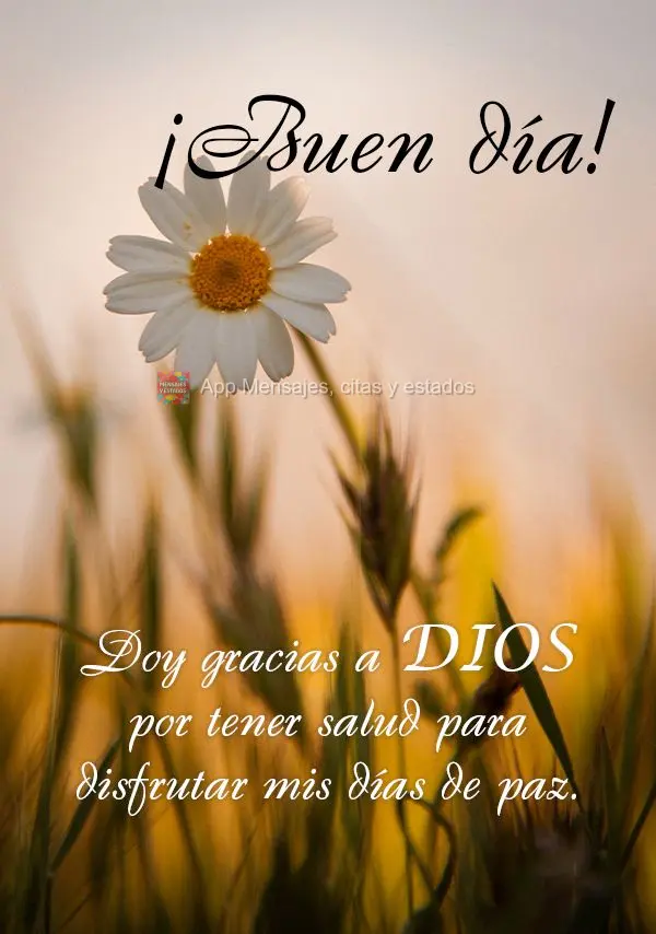Doy gracias a DIOS por tener salud para disfrutar mis días de paz. ¡Buen día! ¡Buen día!