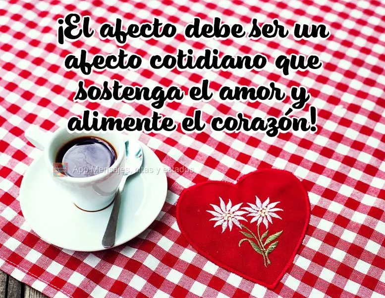 ¡El afecto debe ser un afecto cotidiano que sostenga el amor y alimente el corazón!