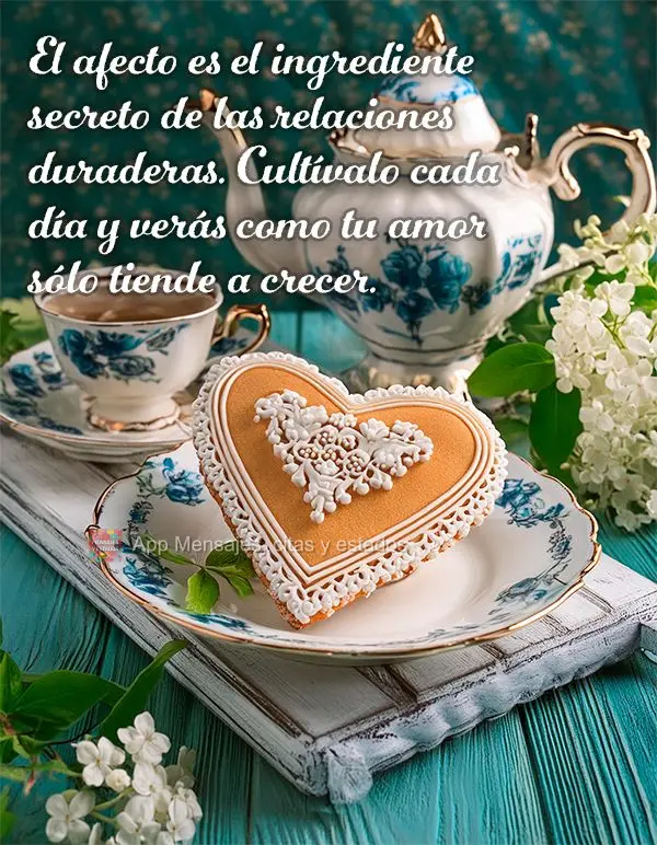 El afecto es el ingrediente secreto de las relaciones duraderas. Cultívalo cada día y verás como tu amor sólo tiende a crecer.