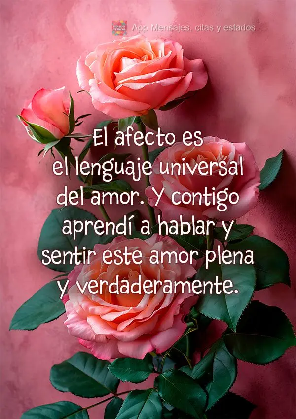 El afecto es el lenguaje universal del amor. Y contigo aprendí a hablar y sentir este amor plena y verdaderamente.