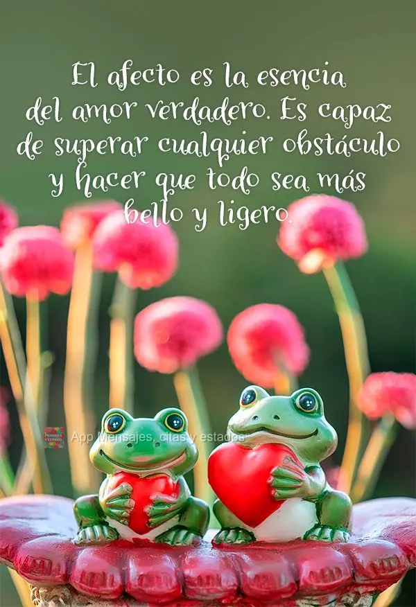 El afecto es la esencia del amor verdadero. Es capaz de superar cualquier obstáculo y hacer que todo sea más bello y ligero.