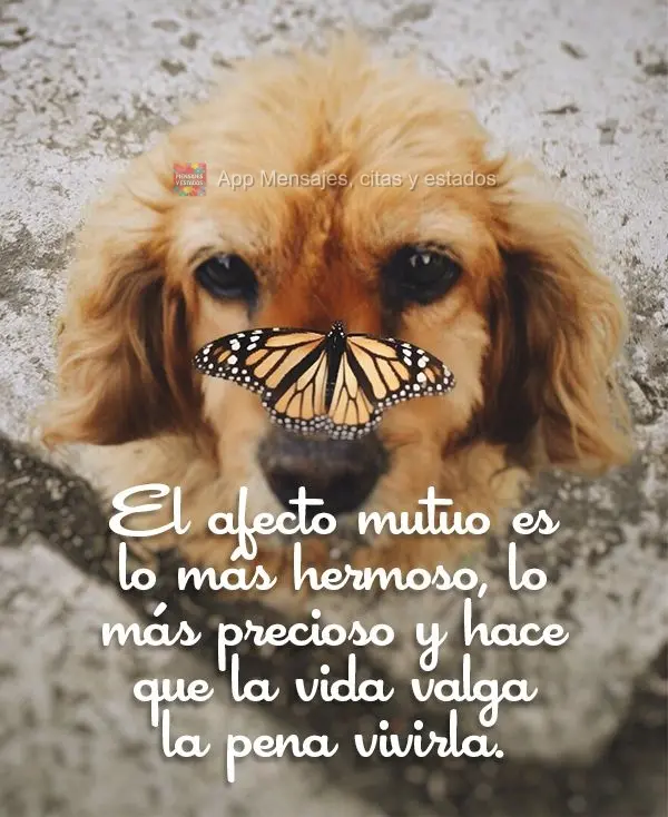El afecto mutuo es lo más hermoso, lo más precioso y hace que la vida valga la pena vivirla.
