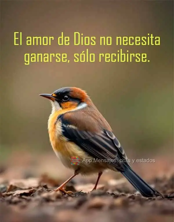 El amor de Dios no necesita ganarse, sólo recibirse.
