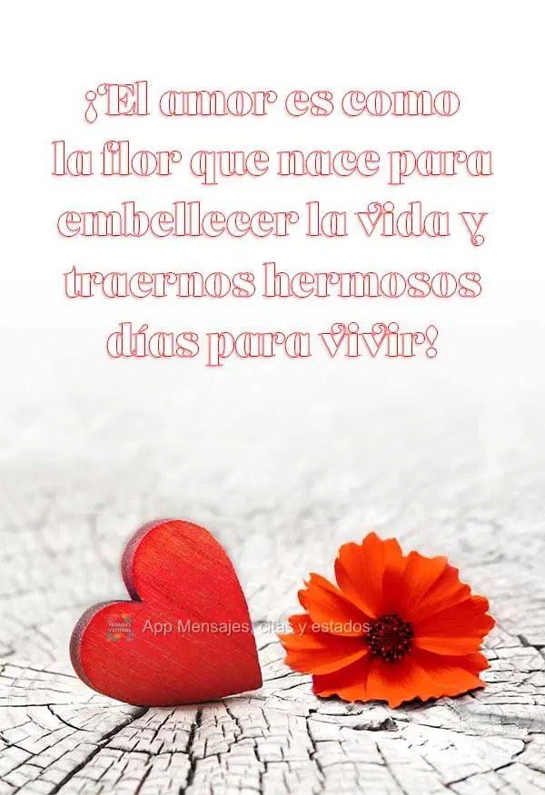 ¡El amor es como la flor que nace para embellecer la vida y traernos hermosos días para vivir!