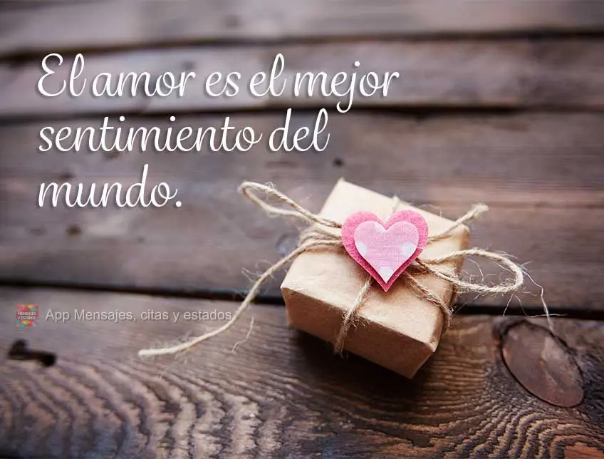 El amor es el mejor sentimiento del mundo.