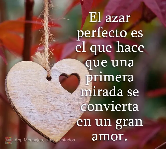 El azar perfecto es el que hace que una primera mirada se convierta en un gran amor.