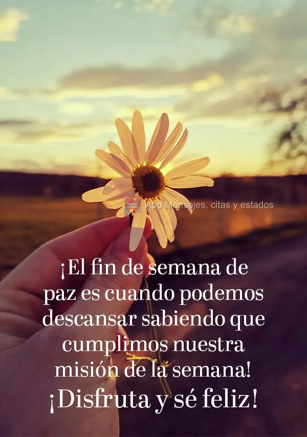 ¡El fin de semana de paz es cuando podemos descansar sabiendo que cumplimos nuestra misión de la semana! ¡Disfruta y sé feliz!