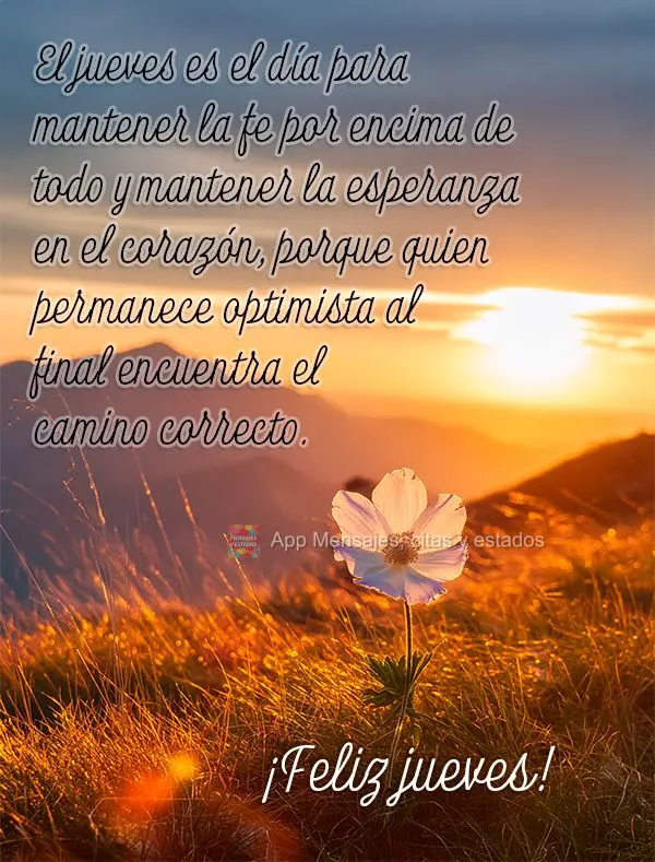 El jueves es el día para mantener la fe por encima de todo y mantener la esperanza en el corazón, porque quien permanece optimista al final encuentra e...