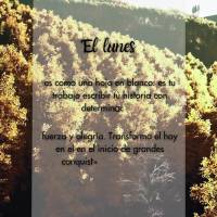 El lunes es como una hoja en blanco: es tu trabajo escribir tu historia con determinación, fuerza y alegría. Transforma el hoy en el en el inicio de gr...