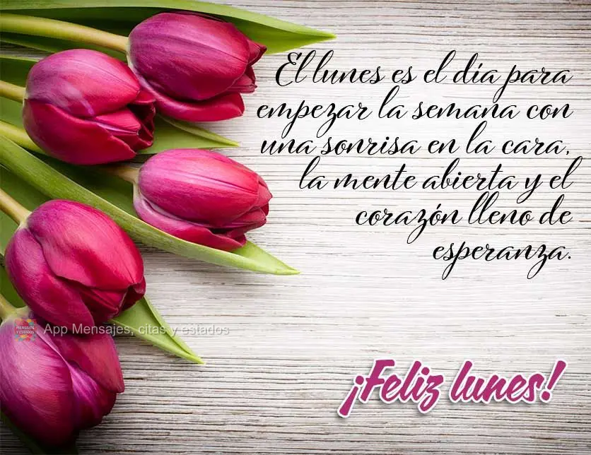 El lunes es el día para empezar la semana con una sonrisa en la cara, la mente abierta y el corazón lleno de esperanza. ¡Feliz lunes!
