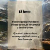 El lunes trae consigo la oportunidad de empezar de cero, de reinventarse y de volver a creer.

Que sea el comienzo de una semana productiva, luminosa y...