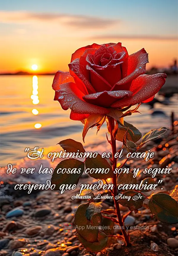 "El optimismo es el coraje de ver las cosas como son y seguir creyendo que pueden cambiar". Martin Luther King Jr