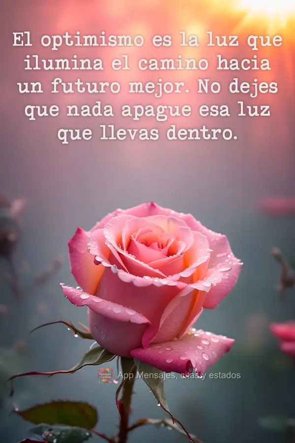 El optimismo es la luz que ilumina el camino hacia un futuro mejor. No dejes que nada apague esa luz que llevas dentro.